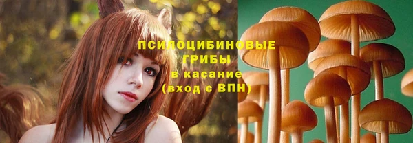 гашиш Козловка
