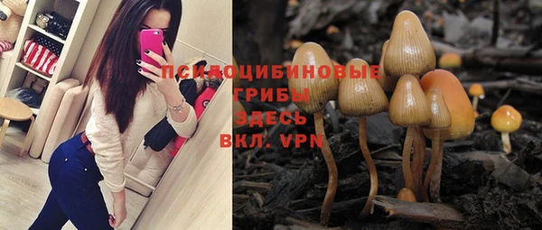 дживик Кодинск