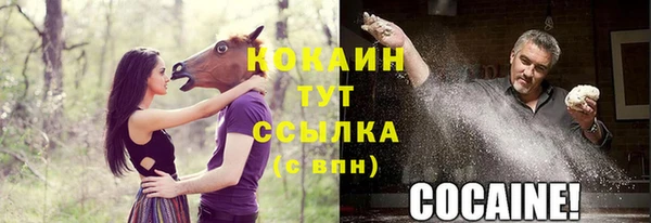 дживик Кодинск