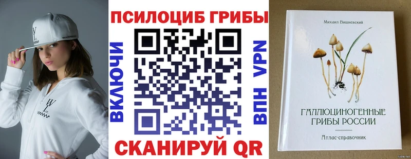 Купить закладки  Игарка  Псилоцибиновые грибы мухоморы 